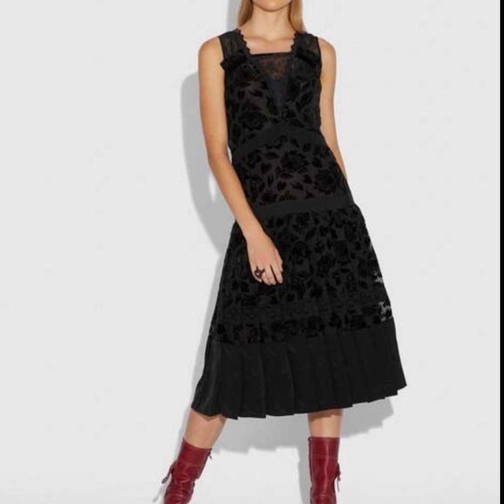 Coach 1941 Velvet Floral Devore Dress